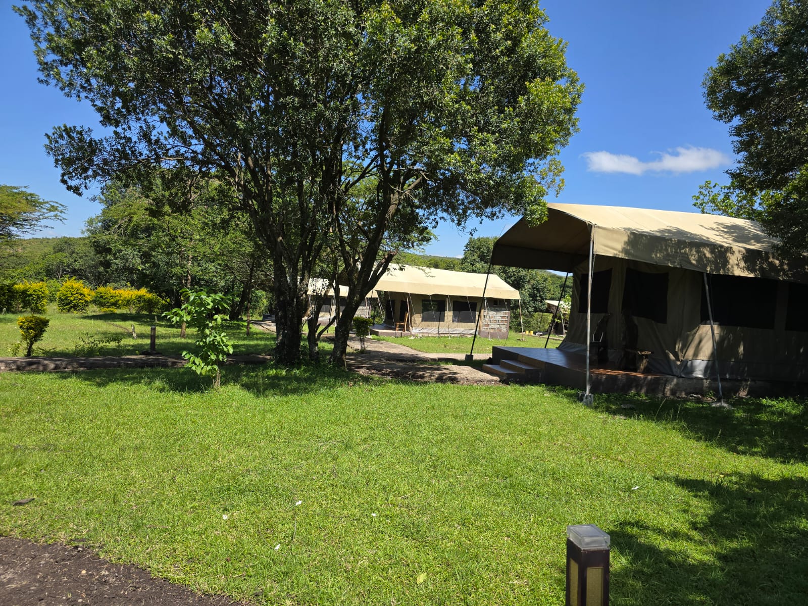 Sustainable camp practices at Wild Nest Mara